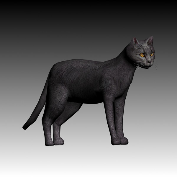 max cat pet - Cat low poly by virtualclay